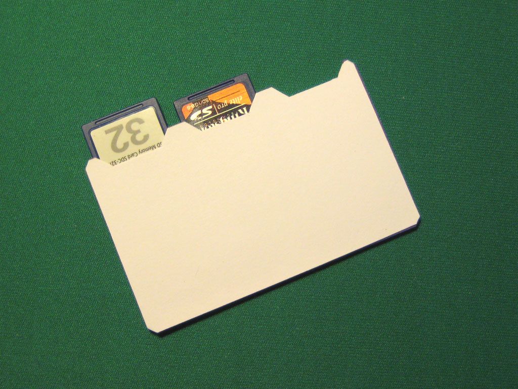 Pipeski's Wallet SD Holder