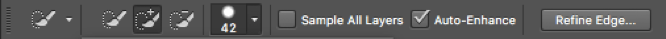 Refine Your Selection With the Quick Selection Tool