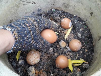 The Grand Burial