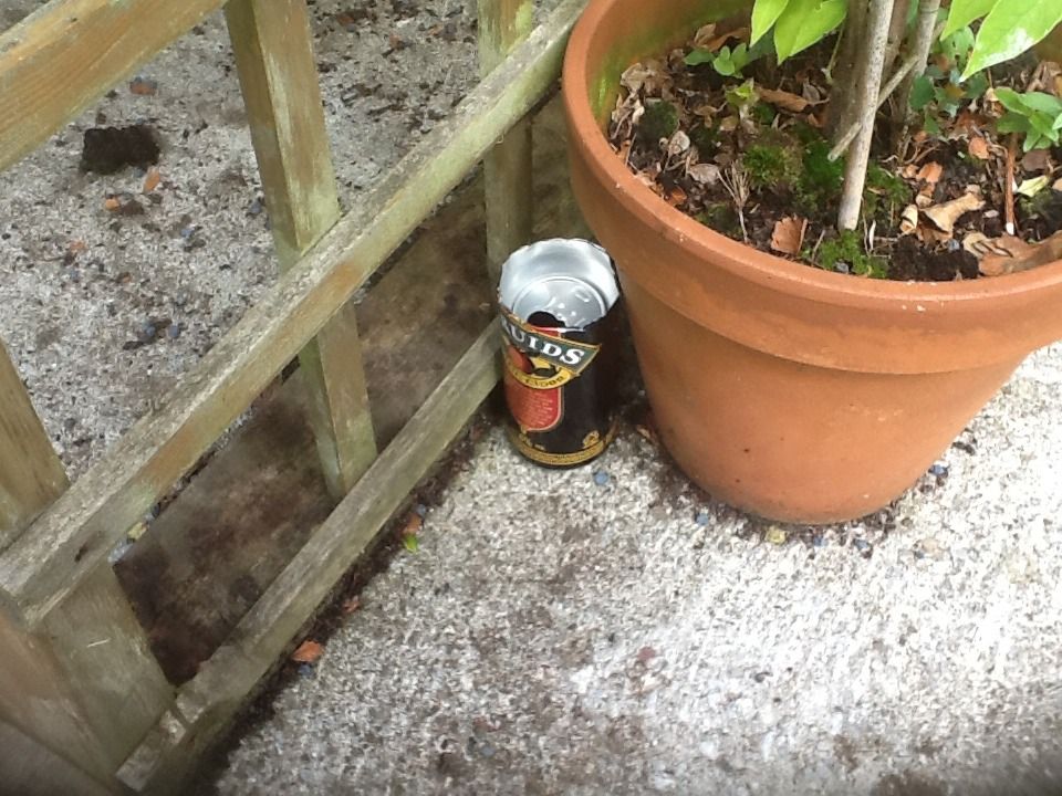 Cider Can Wasp Trap!