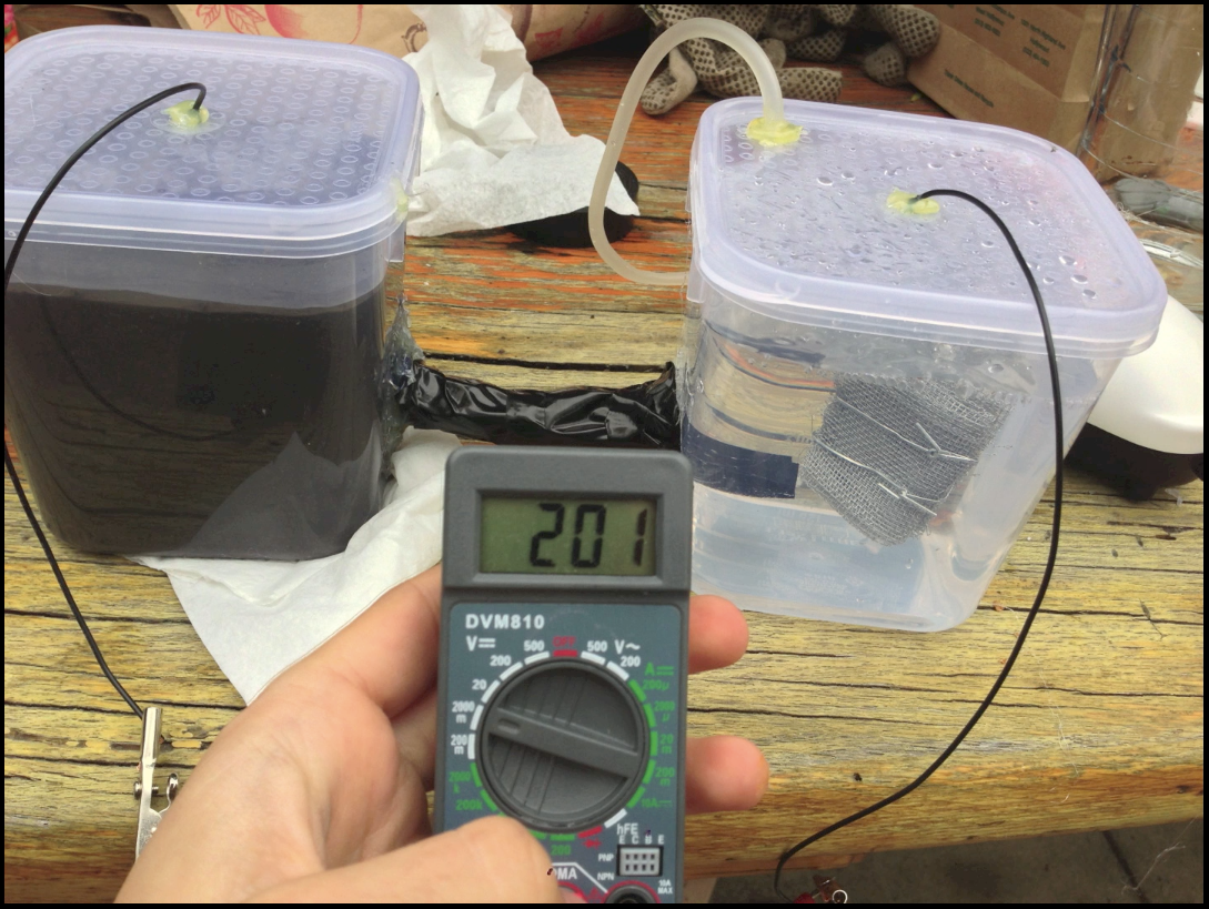 DIY Microbial Fuel Cell! EASY! Instructables