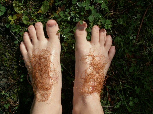 Collection Cover Image: The Hobbit & Lord of the Rings Inspired Projects