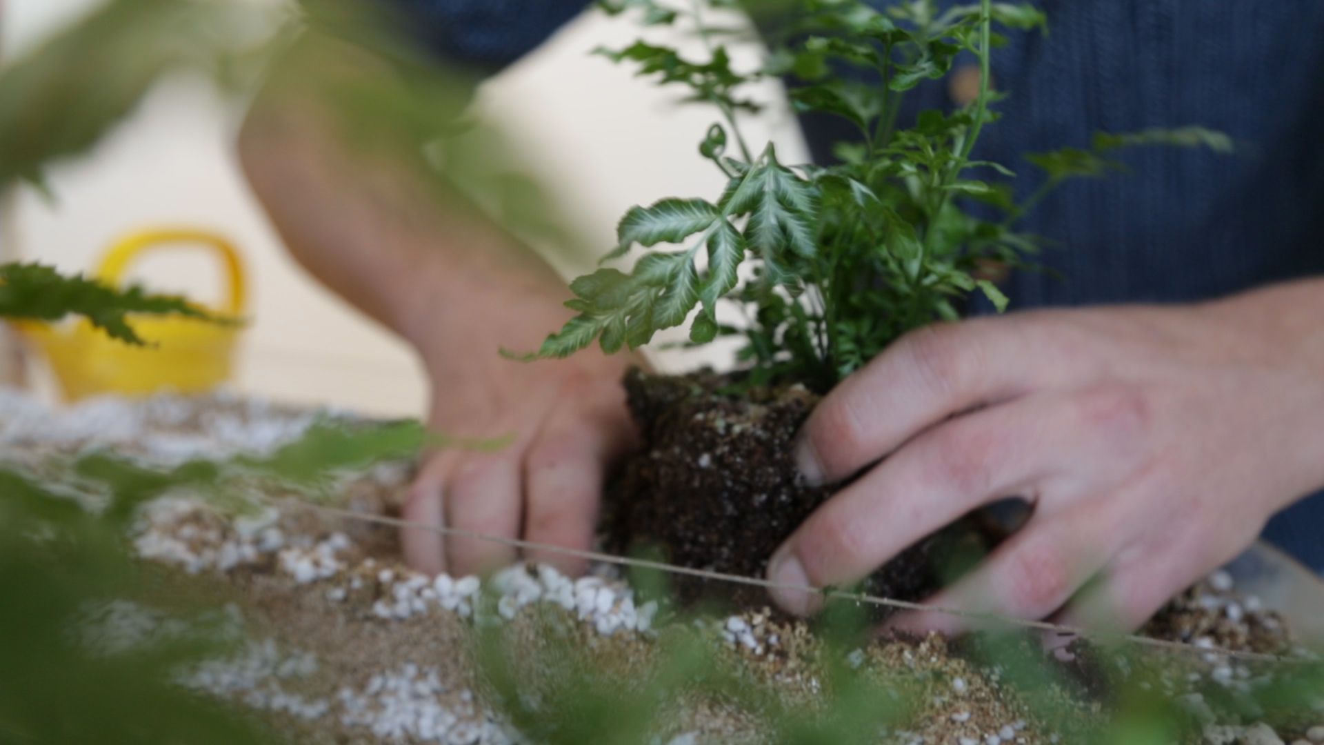 Toilet Garden 12 Steps (with Pictures) Instructables