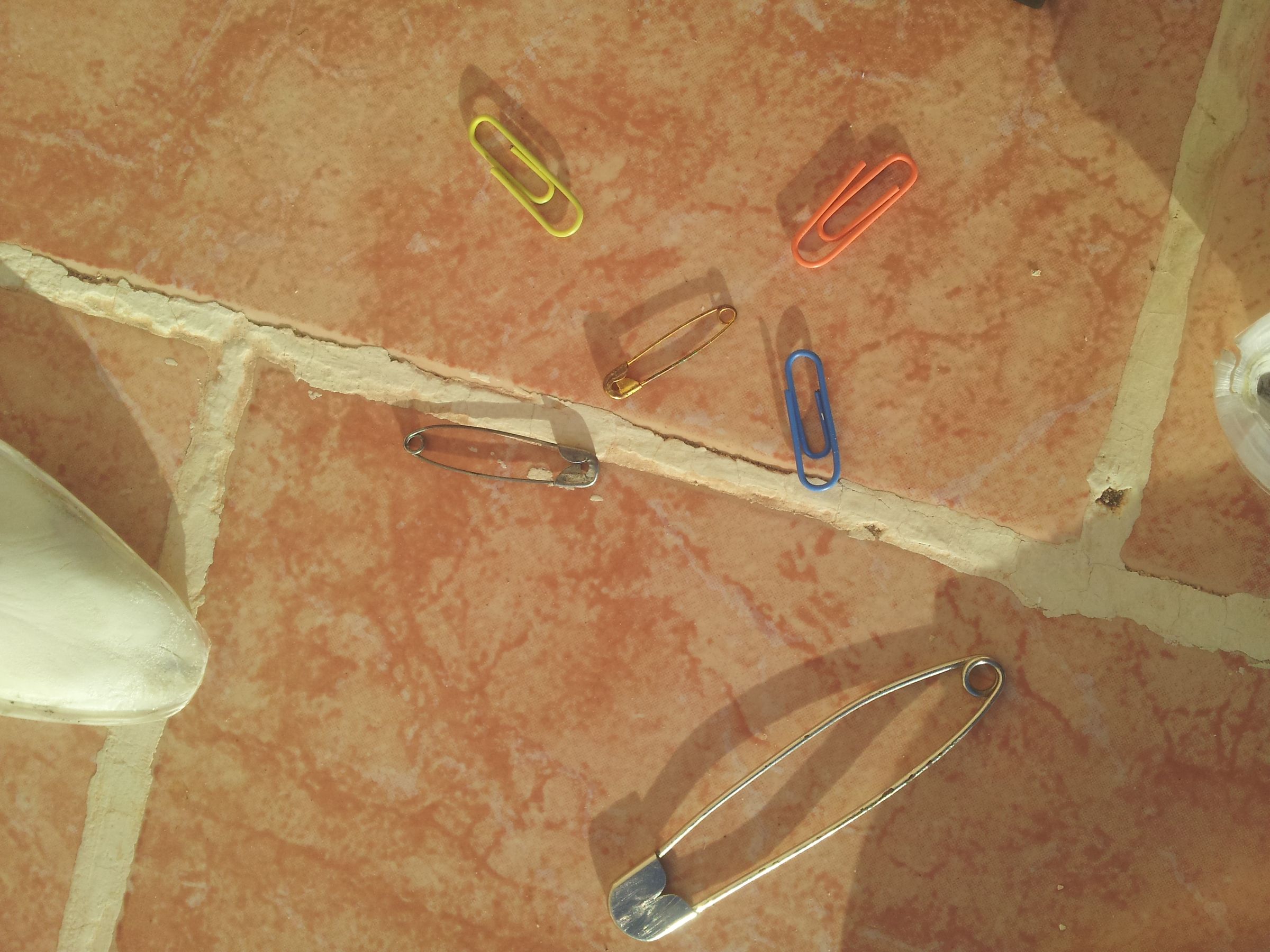 how to attach a cuttlebone to a bird cage iucnccsg