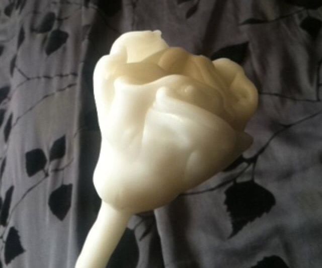 A Simple Rose - Instamorph Buildnight