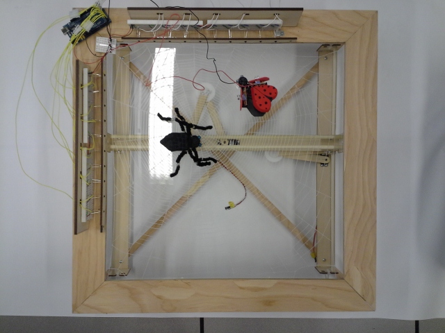 Bug-Catching Spider in Web, Part 1