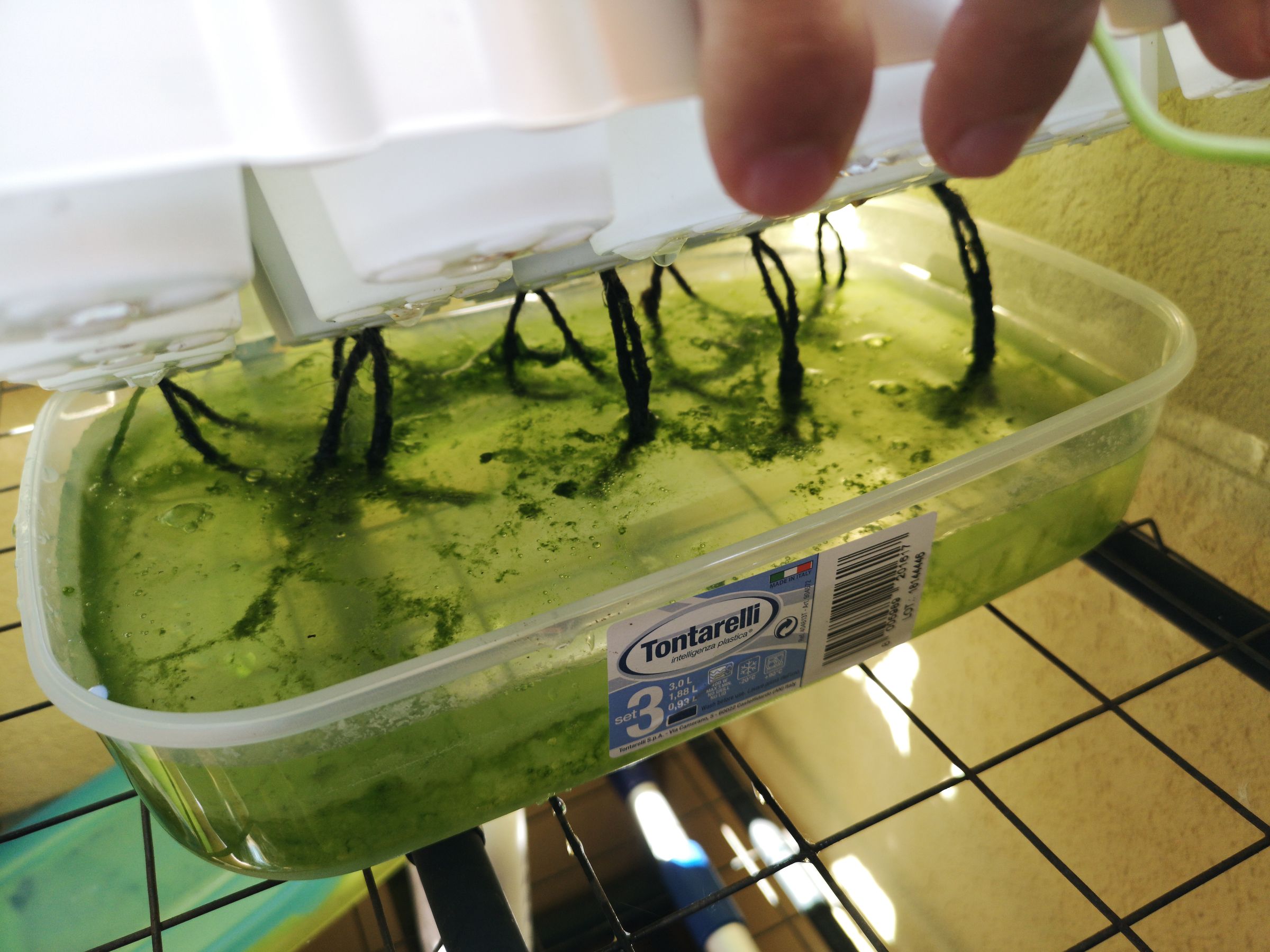 IKEA Self Watering System 9 Steps (with Pictures) Instructables