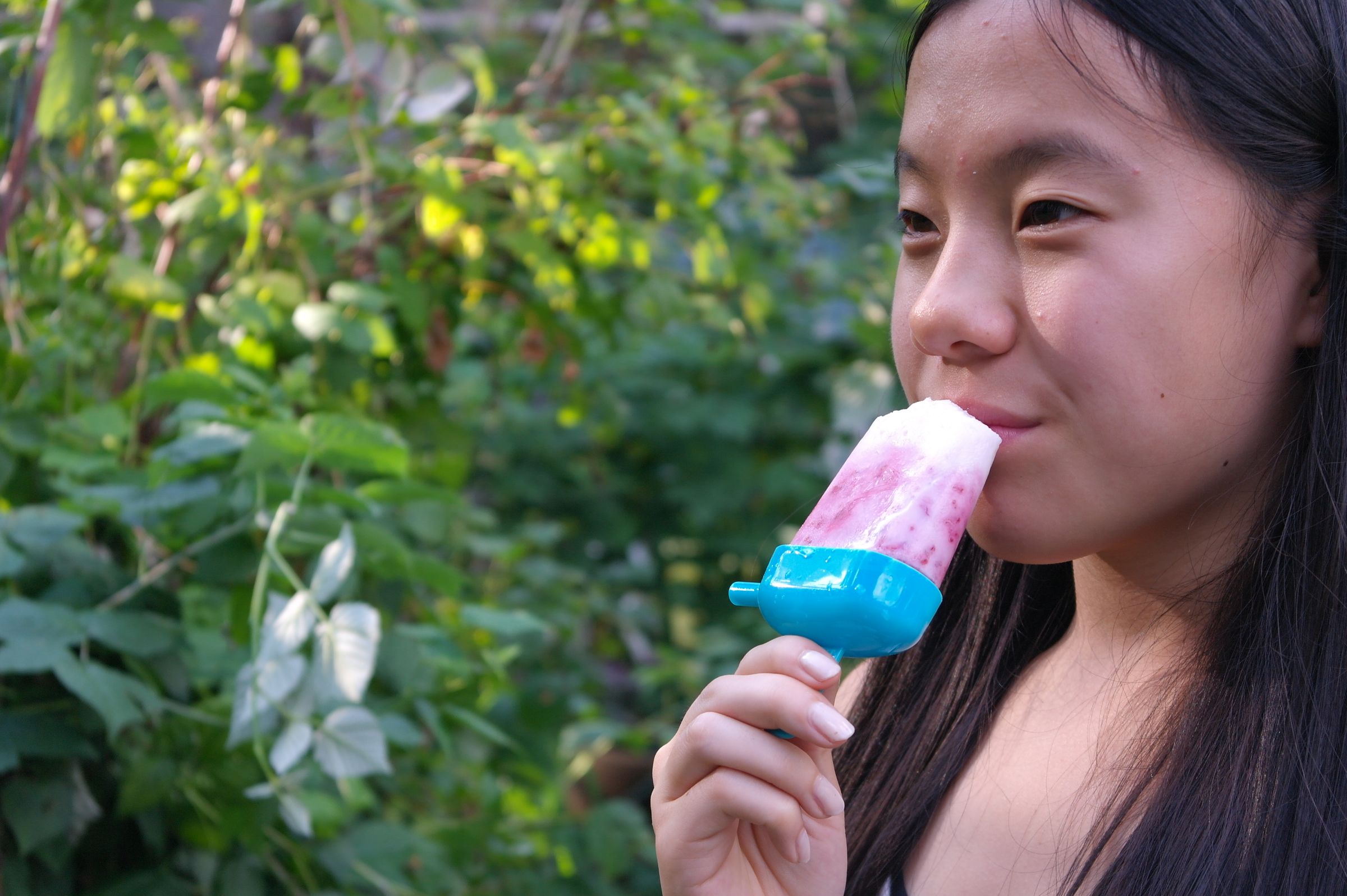 Raspberry Milk Popsicles 18 Steps (with Pictures) Instructables