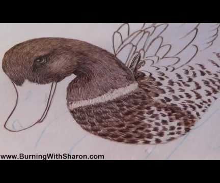 Pyrography: How to Woodburn the Chest Feathers on a Mallard Duck
