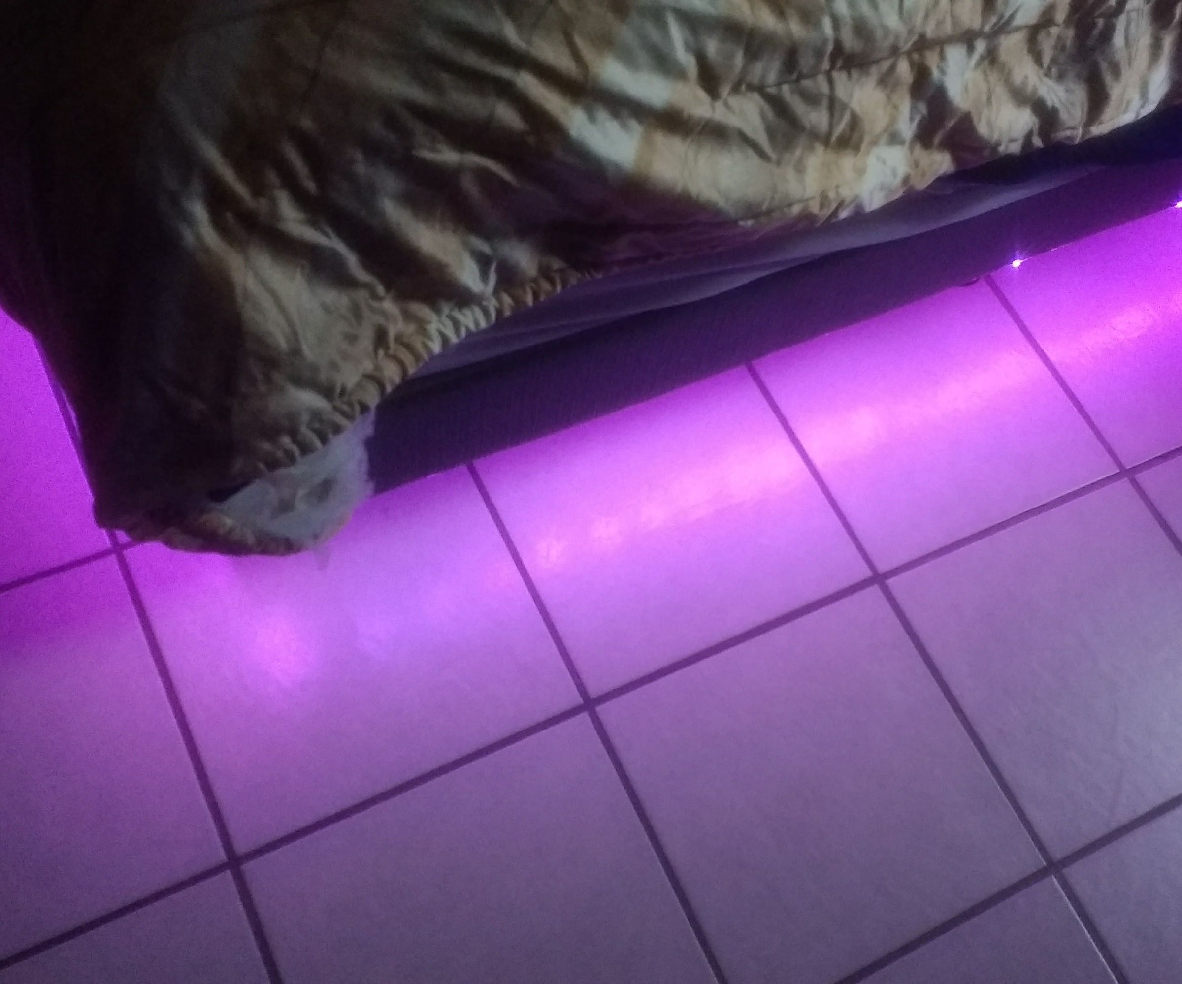 Fancy Bed Night Lights