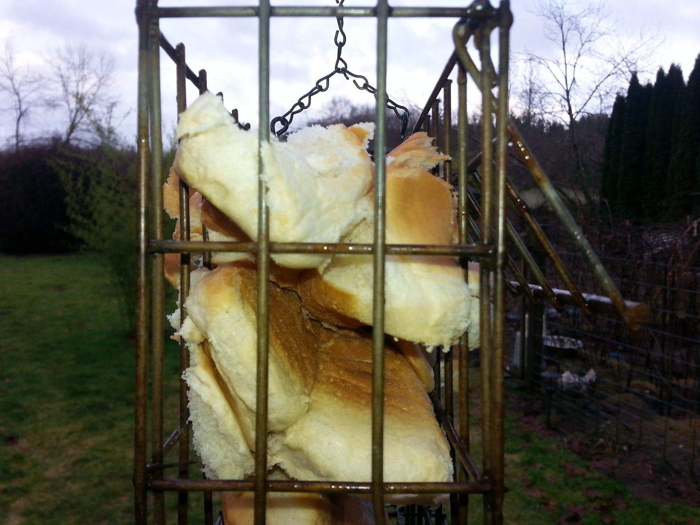 Bird Bread Feeder Instructables