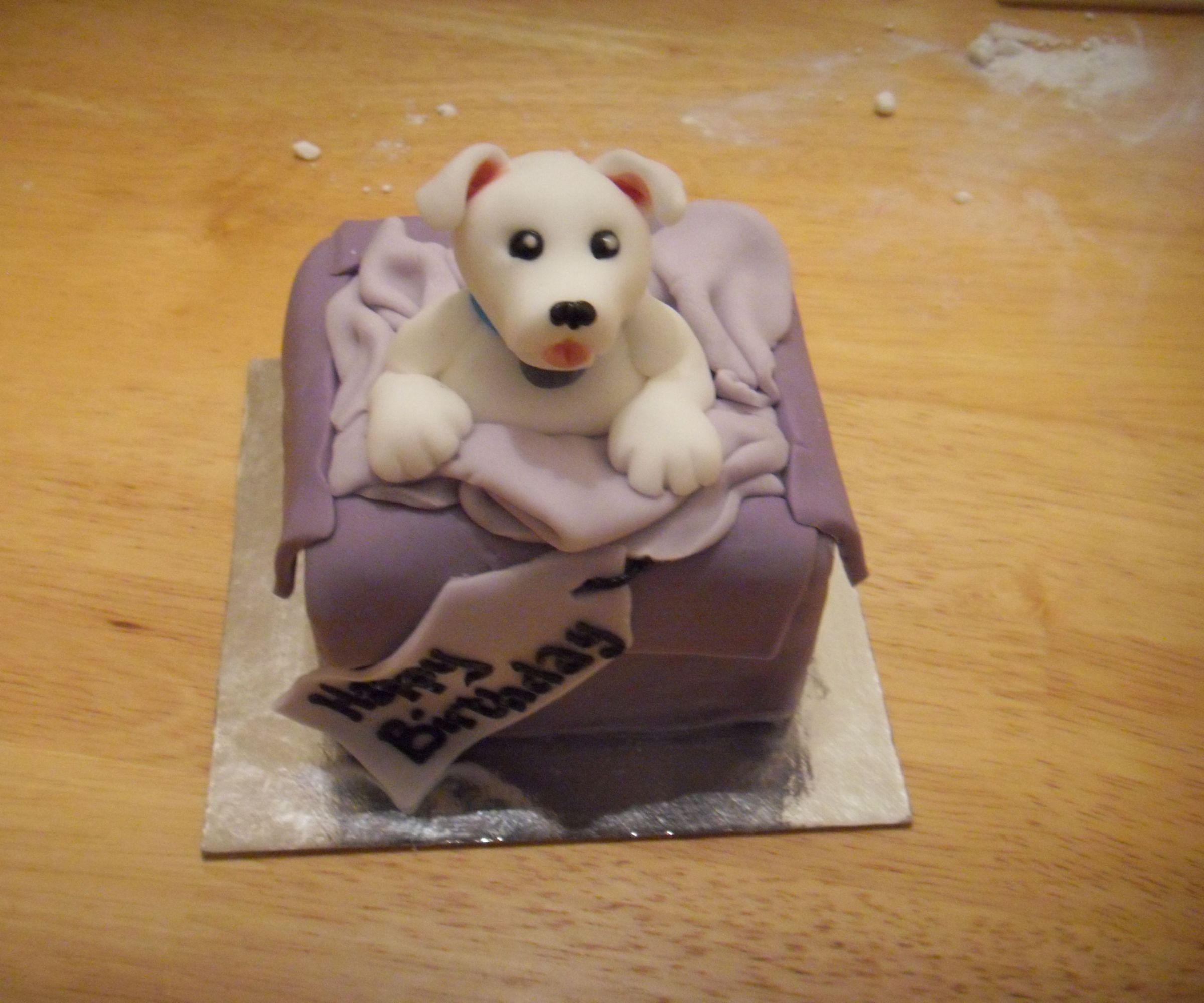 Dog in a Parcel Mini Cake