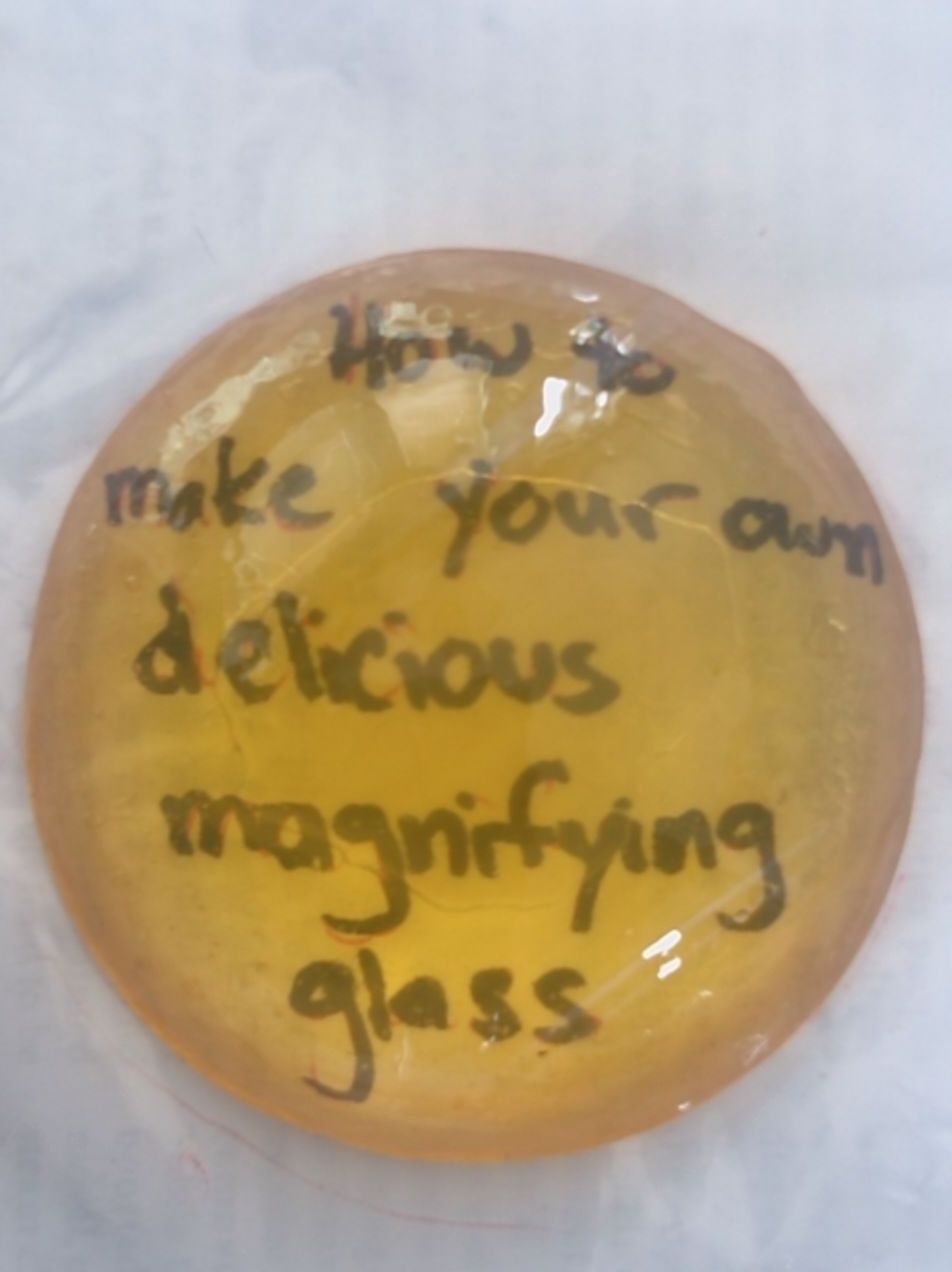 Cook Up an Edible Magnifying Glass