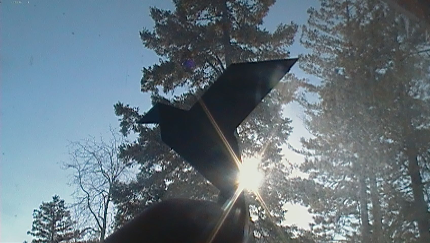 How to Make an Origami Bird