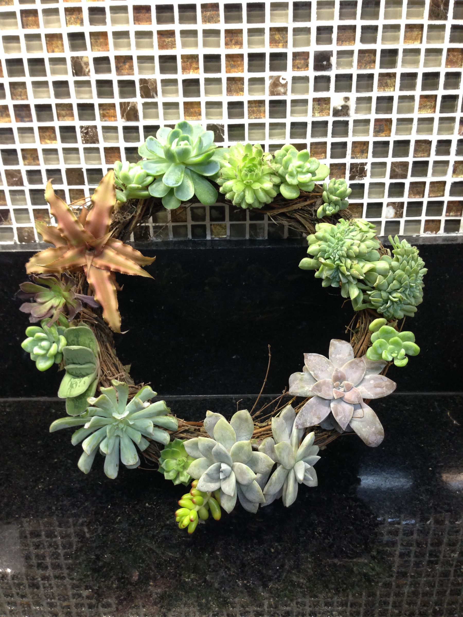 Succulent Twig Wreath