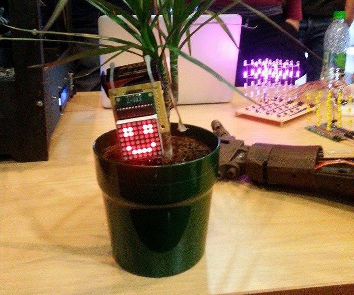 Make Your Plant Smile