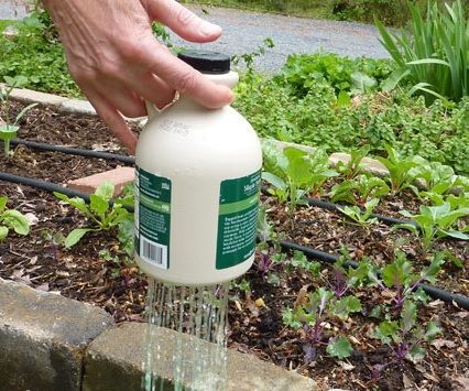 Como Hacer Una Regadera Casera