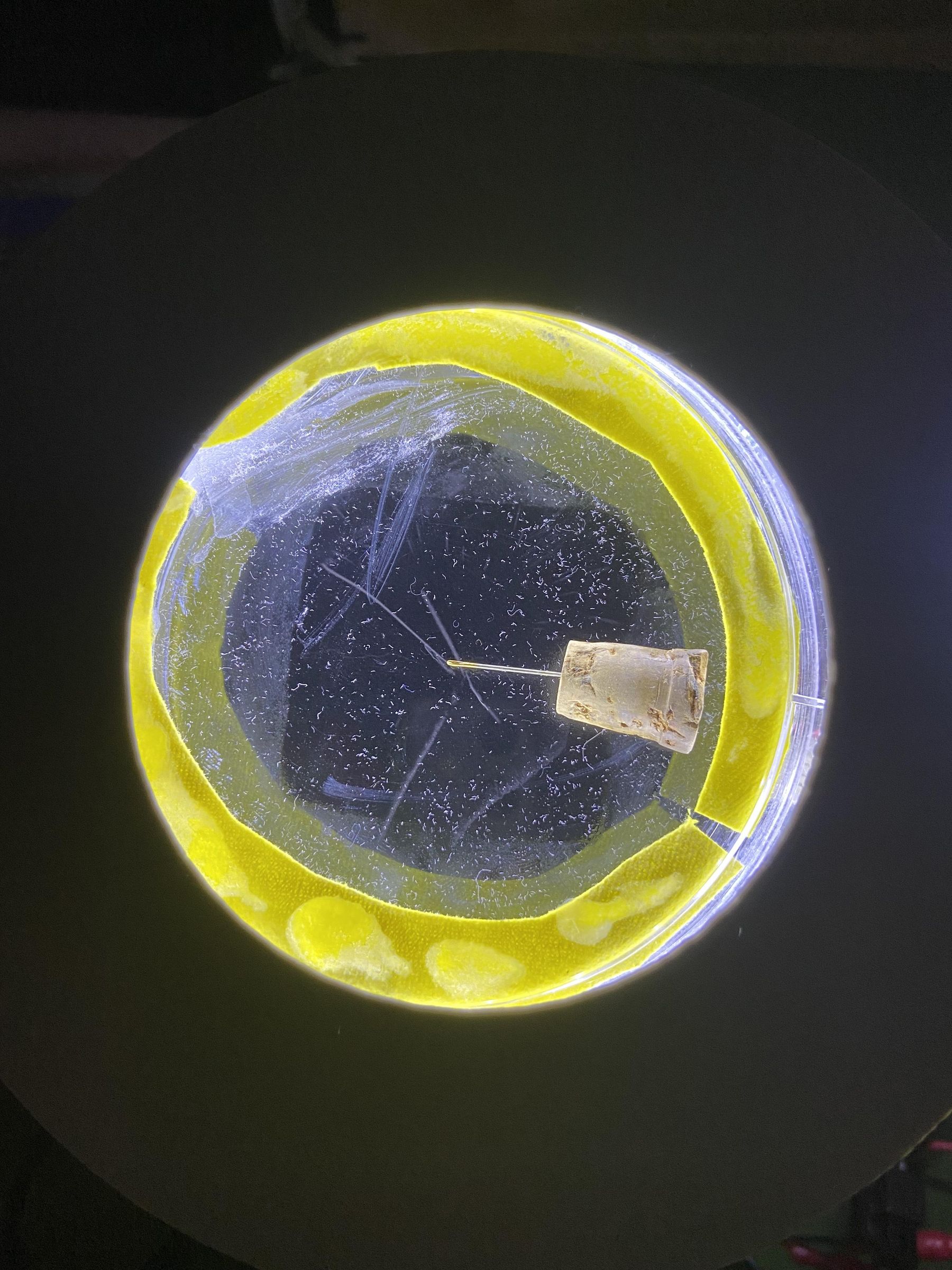 Siena College Peltier Thermocooler Cloud Chamber 16 Steps (with