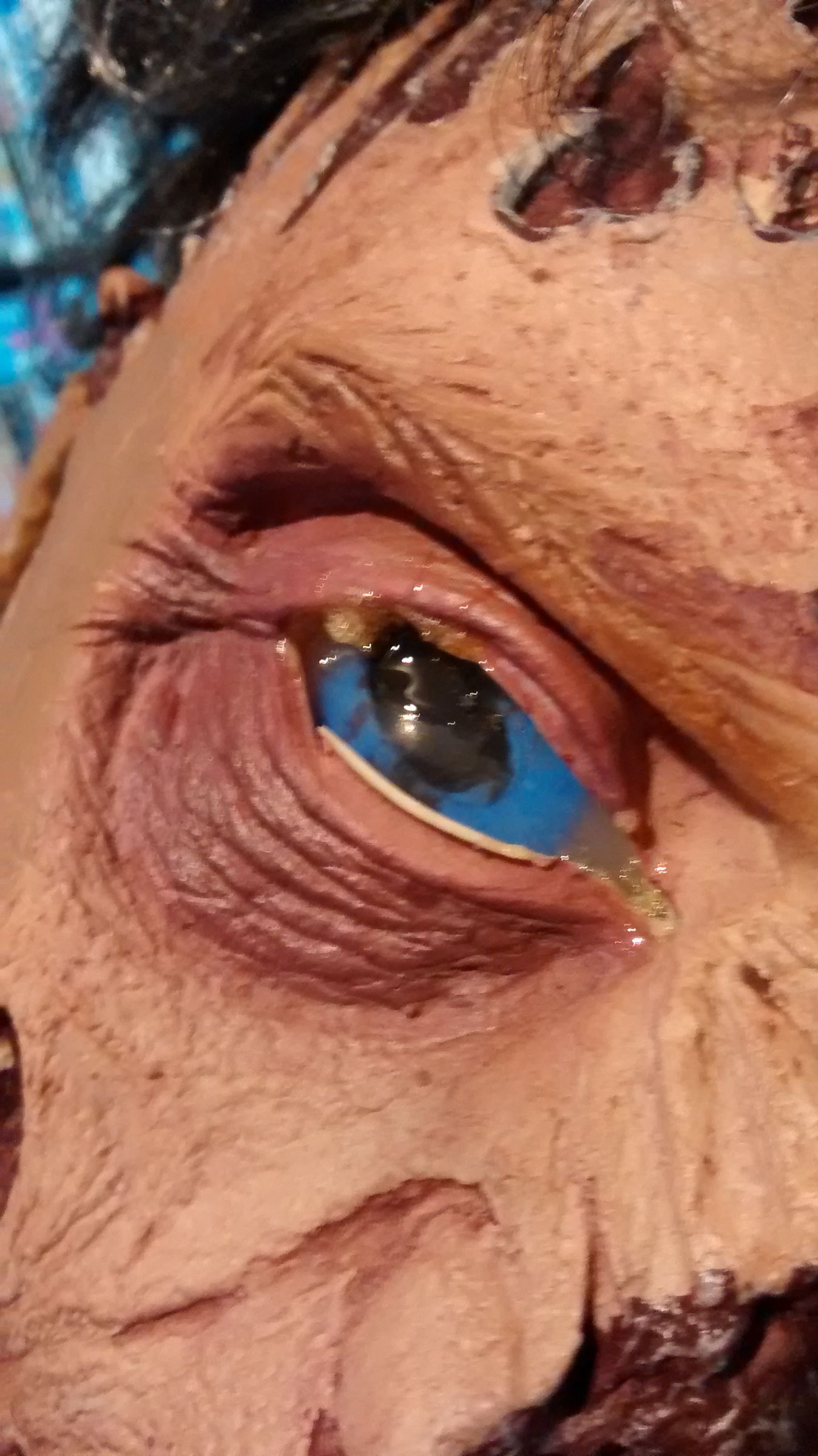 Your Zombie Eyes Are Dead to Me