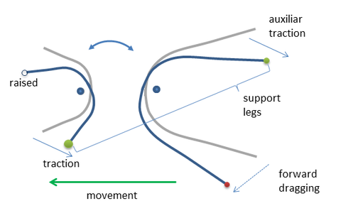Mobile Robotics With Scratch: Build an Arduino-based Insect-like Walker ...