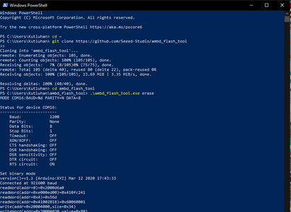 Updating and Setting Up Wio Terminal