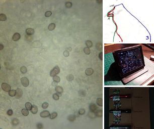 Scientific Method - Instructables