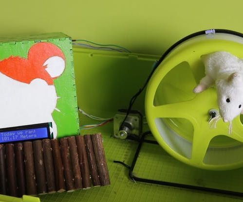 Harold the Undead IoT Hamster