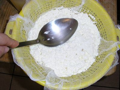 Kitchen Laboratory: Proteins and Cheese Making : 15 Steps (with ...