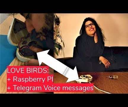 VALENTINE'S DAY Love Birds : a Box to Send and Receive Telegram Audio Message
