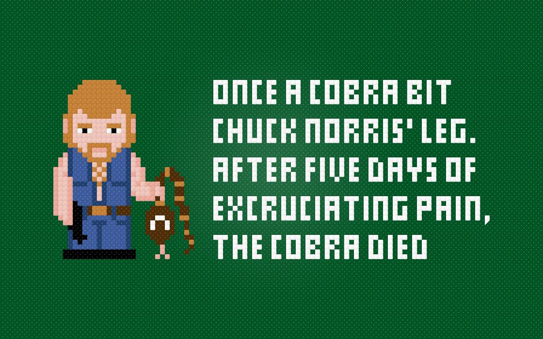Chuck Norris and a Cobra - Cross Stitch Free PDF Pattern
