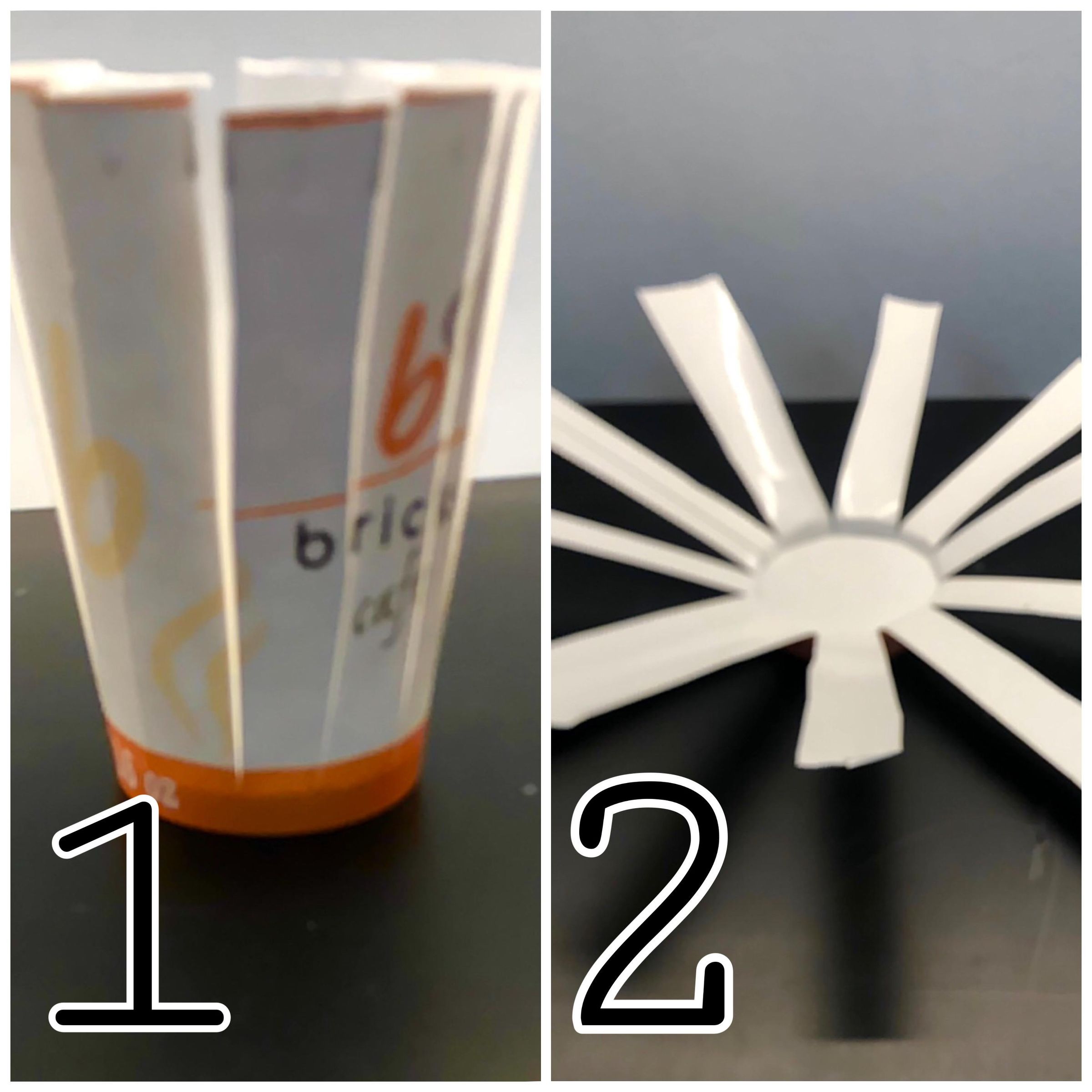 How to Make a Paper Cup Succulent Planter! : 9 Steps - Instructables