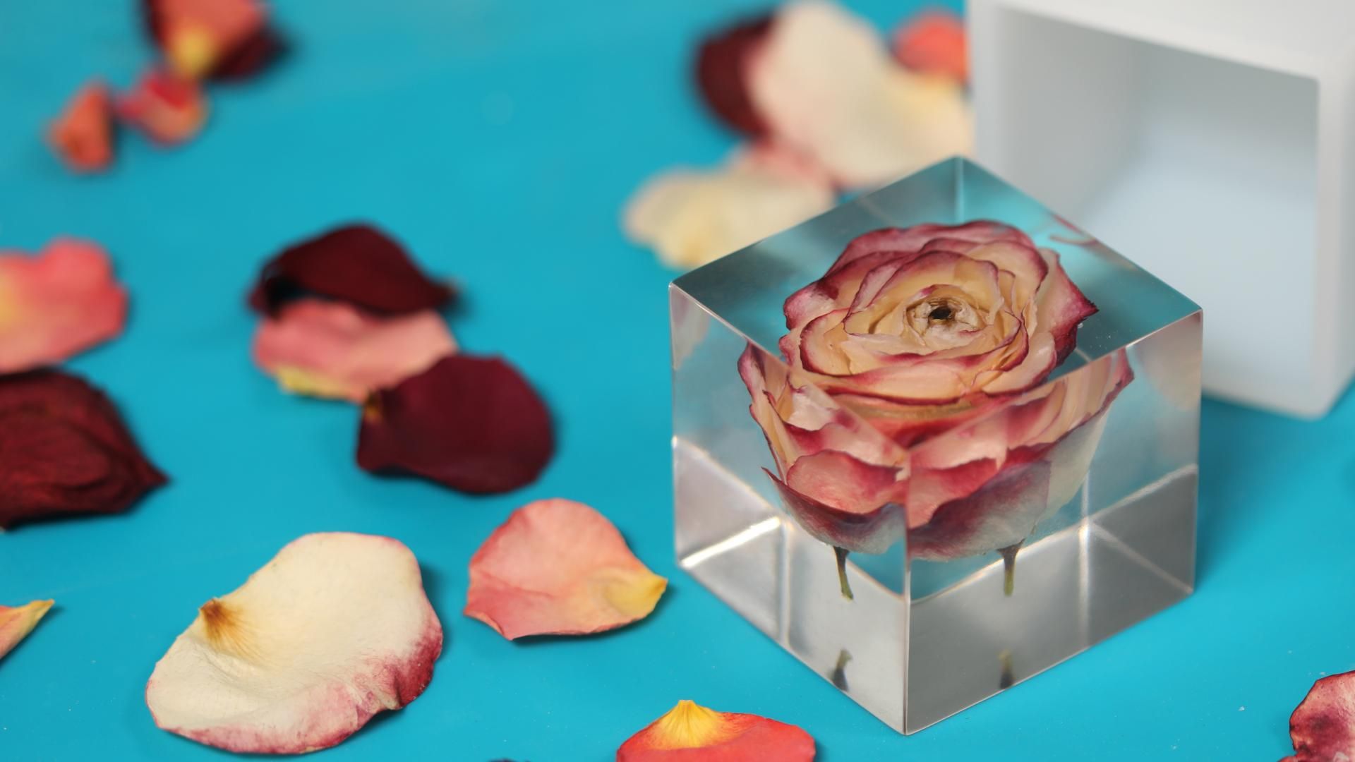 How to Cast Flowers in Epoxy Resin DIY Resin Rose Paperweight! 8