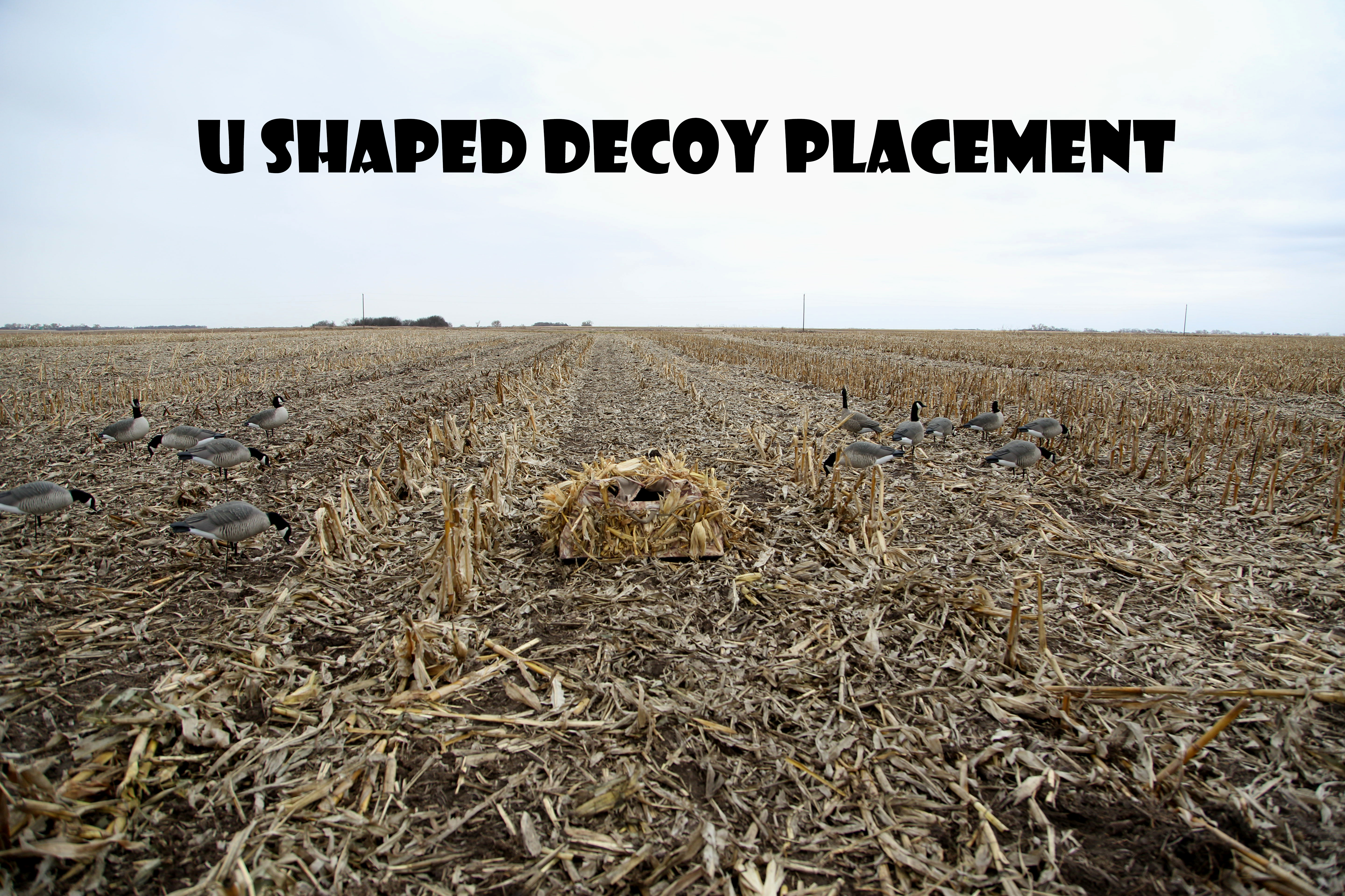 How to Set Up Goose Decoys 7 Steps Instructables