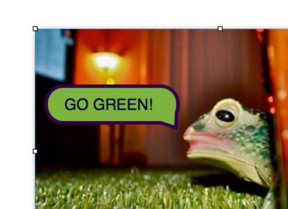 The Grass in the Living Room Needs to Be Mowed....