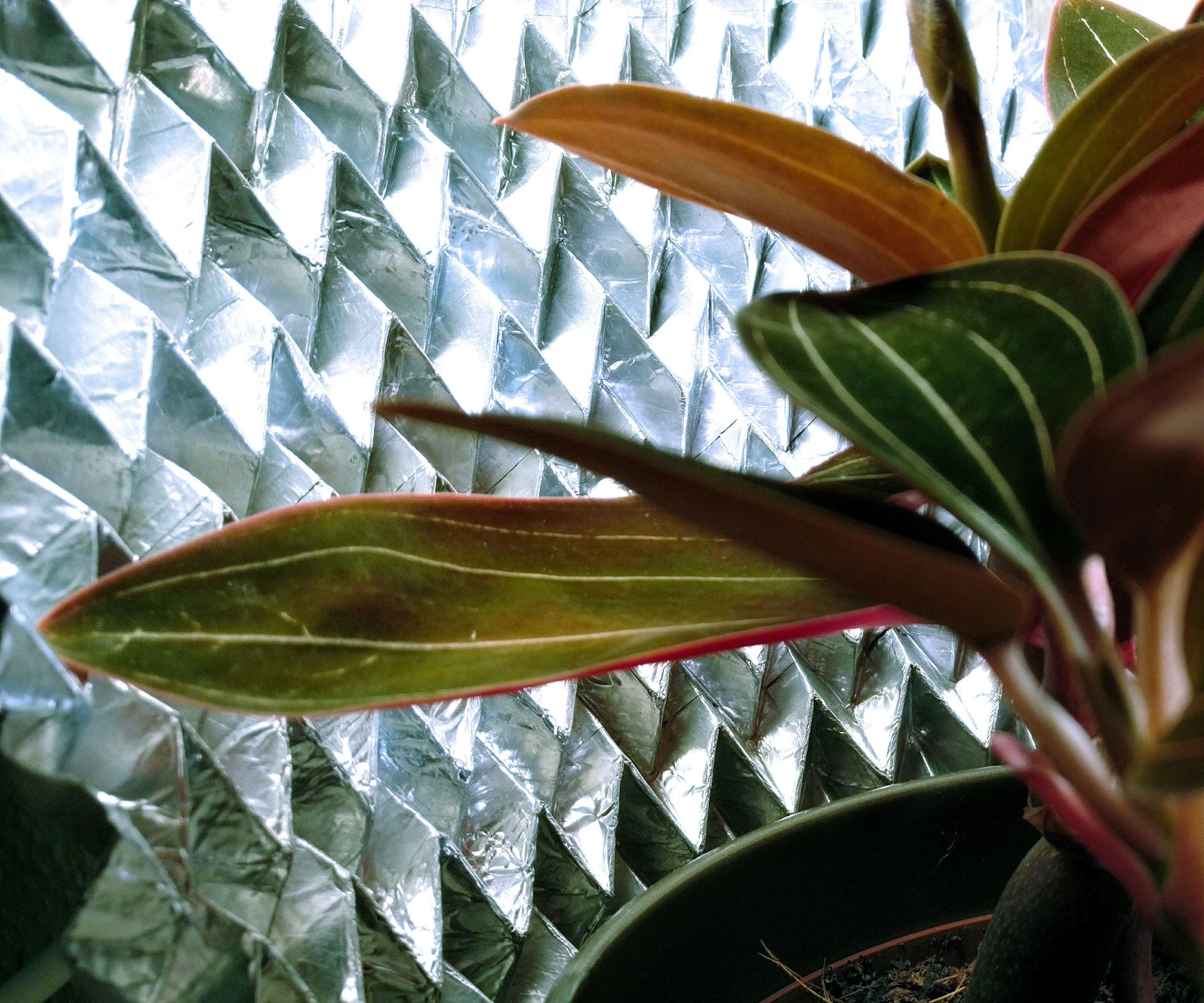 How to Use Origami to Make a Photoreflector (and More!) - TfCD