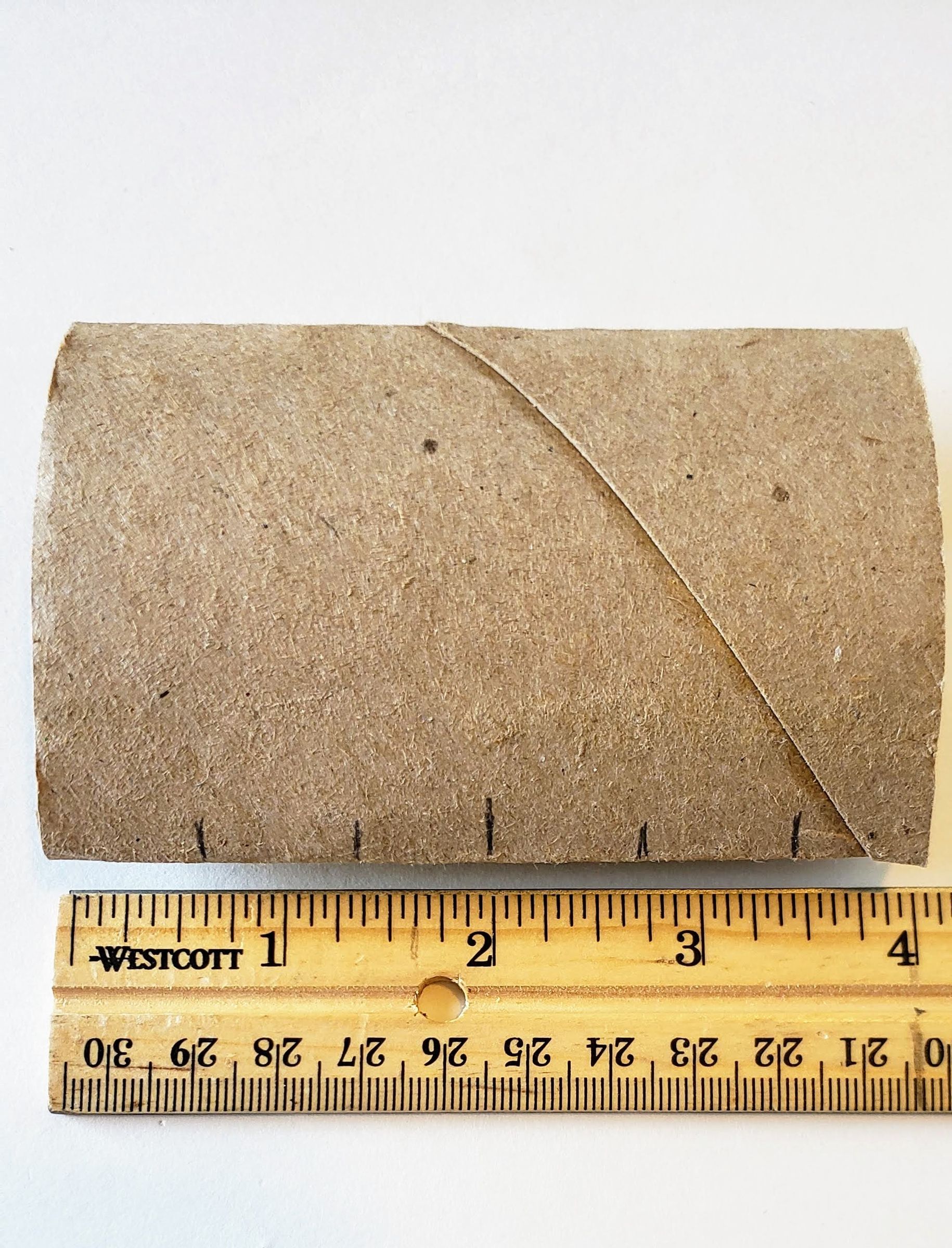 Toilet Paper Tube Wall Art 5 Steps (with Pictures) Instructables