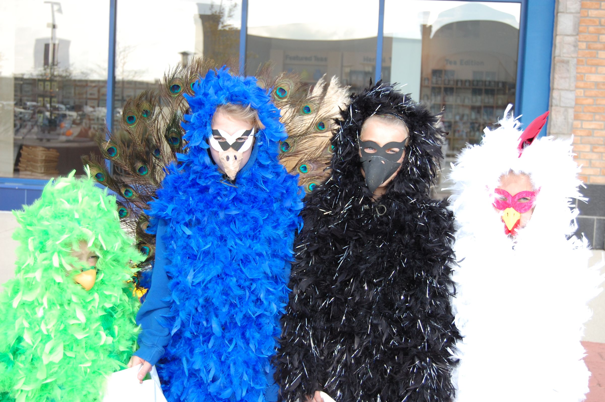 The Birds