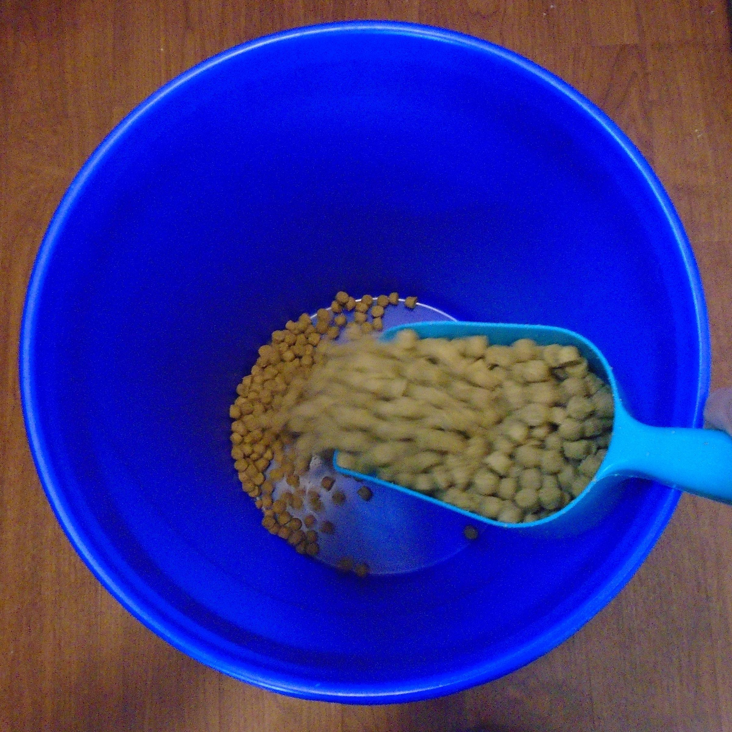 Traveling Pet Bucket 6 Steps (with Pictures) Instructables