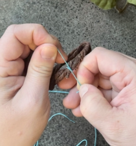 Wave the Dreamcatcher Web