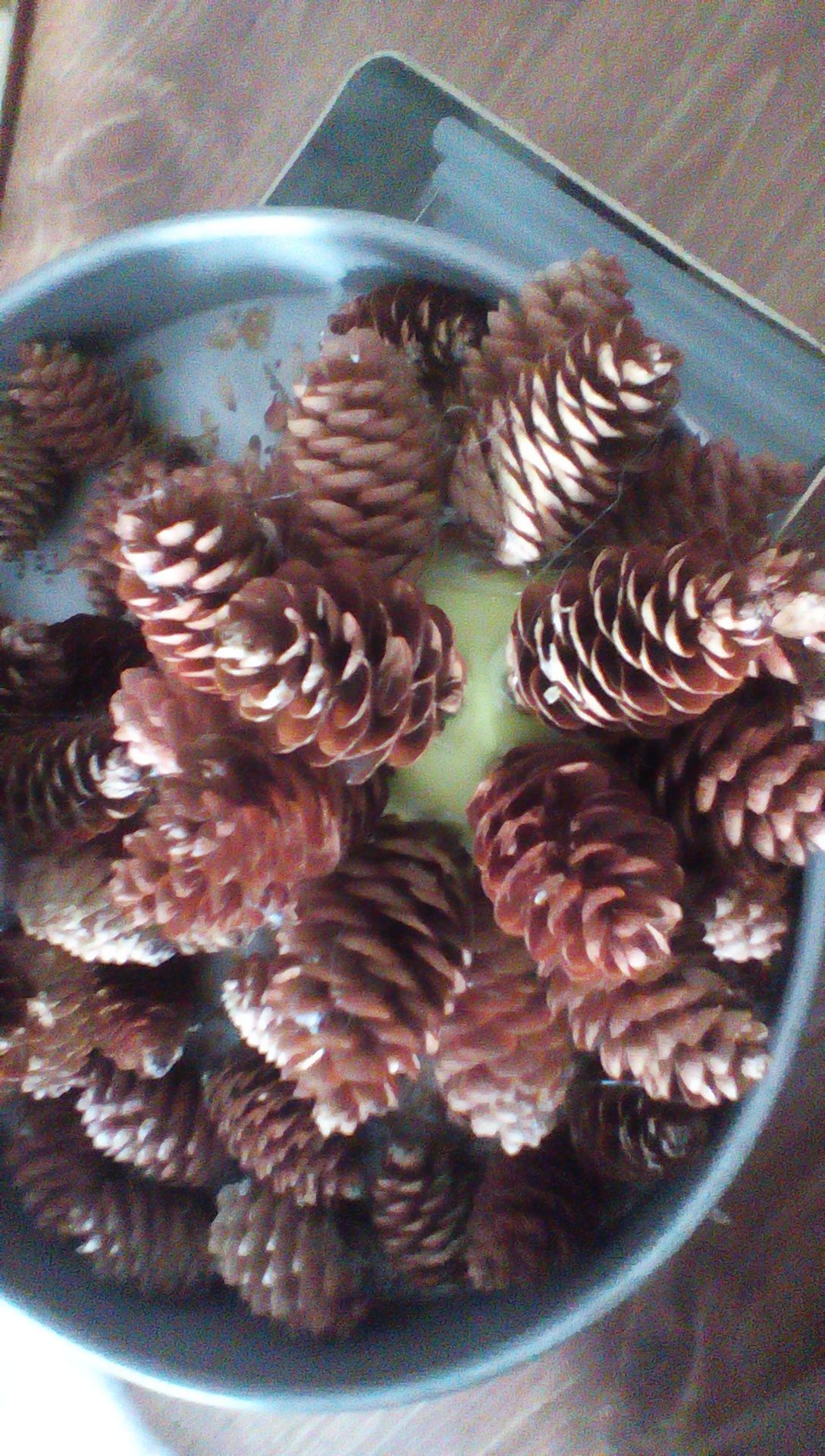 Pine Cone Ball Ornament 3 Steps (with Pictures) Instructables