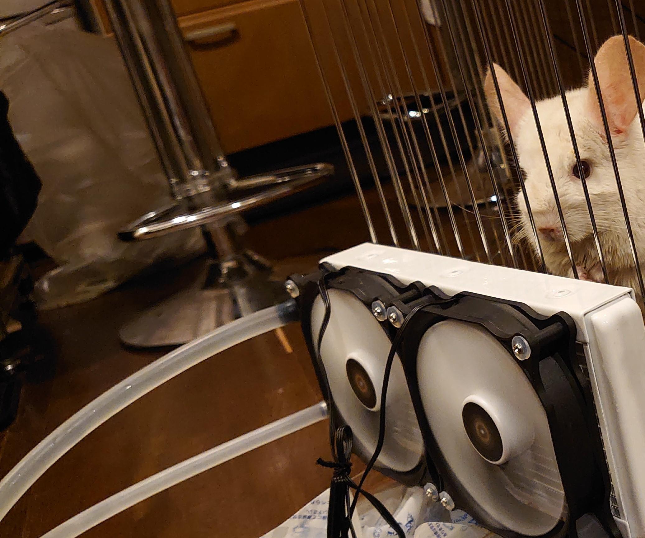 Pet Chinchilla Air Conditioner 4 Steps (with Pictures) Instructables