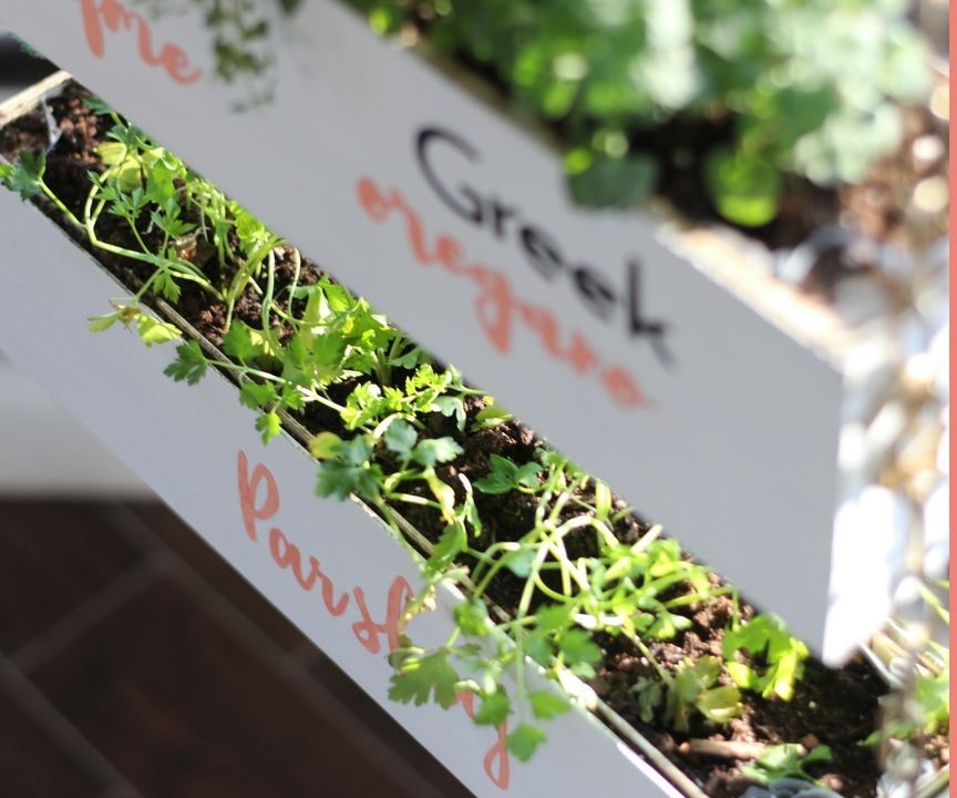 DIY Indoor Vertical Herb Garden With Toolbox Divas