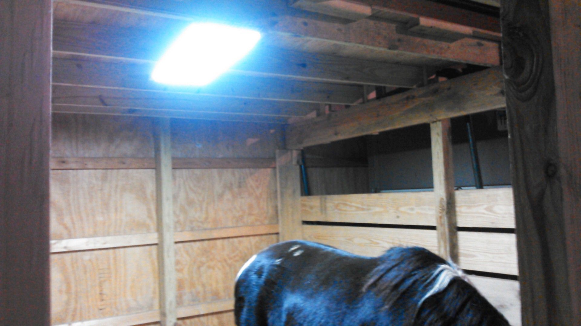LED Horse Stall Light 8 Steps (with Pictures) Instructables