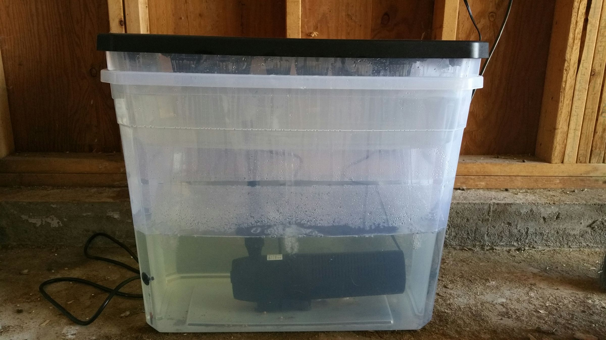 Kitchen Aquaponic Garden/Fish