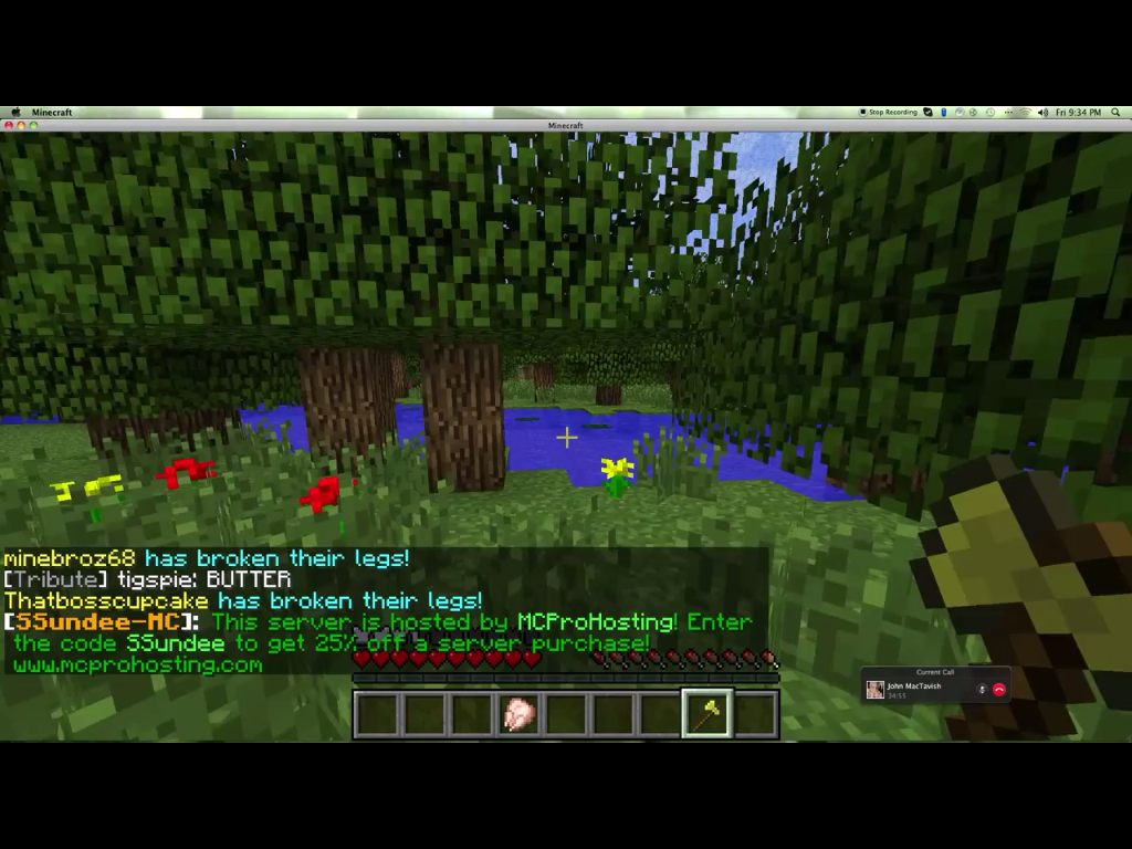 Minecraft Survival Games Server!