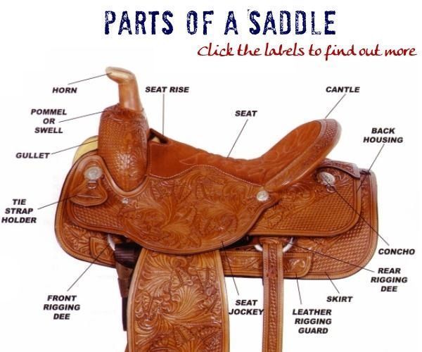 How to Saddle a Horse 3 Steps Instructables