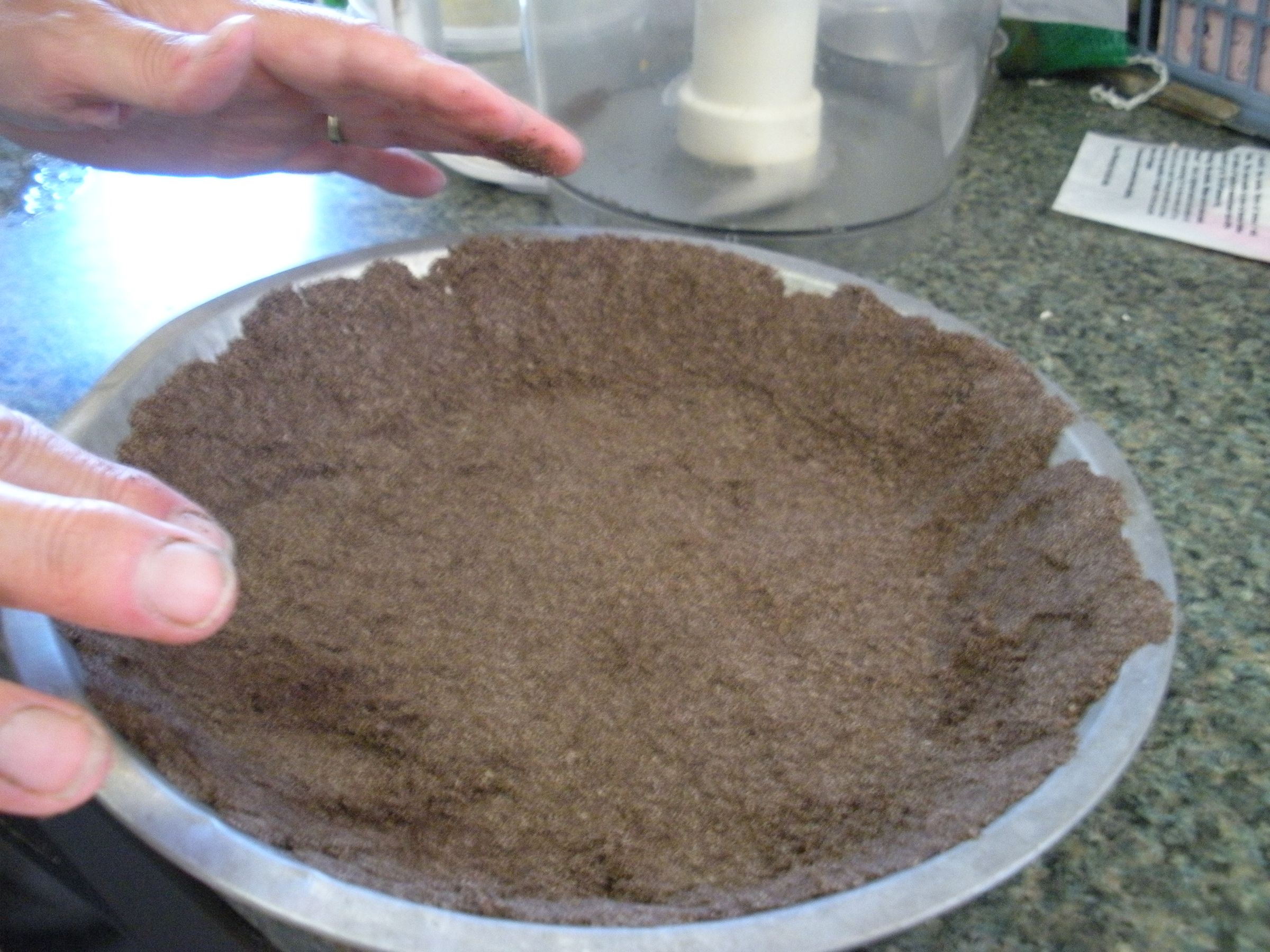2 Minute Pie Crust
