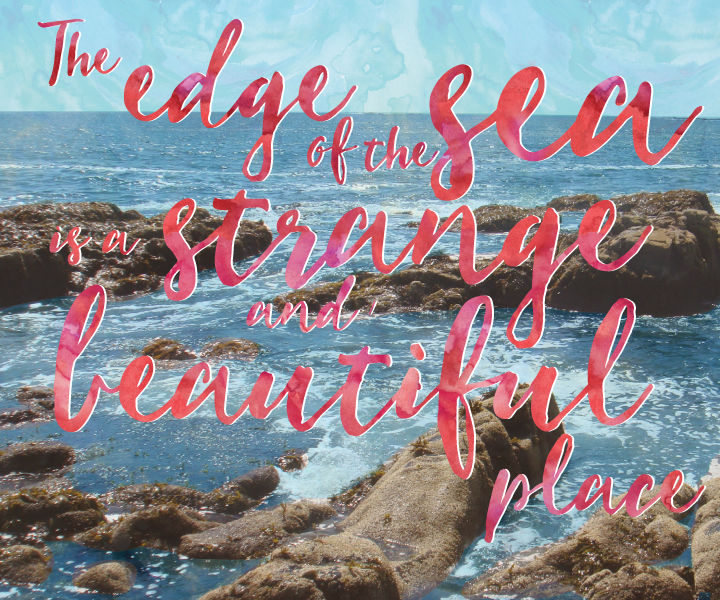 Beautiful Image Quotes for Social Media