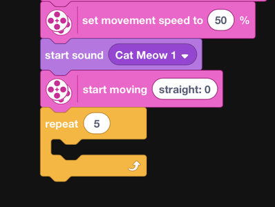 Animated Cat Toy : 19 Steps (with Pictures) - Instructables