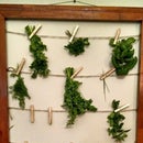 Rustic Herb Frame